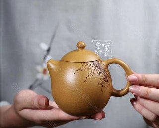 《龍蛋》  《龍蛋》