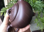 竹韻飄香；紫泥350CC