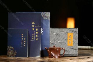 樹樁  樹樁