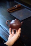 《瓜瓜來(lái)財(cái)》