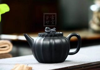 《小獅球》  《小獅球》