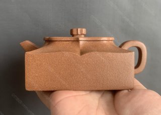 四方荷花  四方荷花
