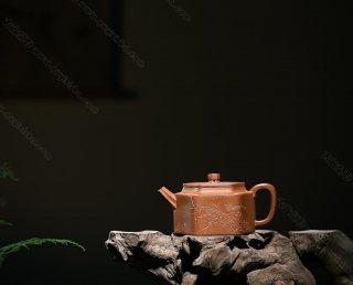 寒竹  寒竹