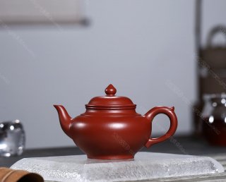 笑櫻  笑櫻