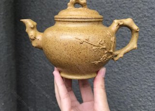 梅報春  梅報春