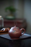 《瓜瓜來(lái)財(cái)》