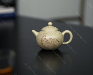 巨輪珠  巨輪珠