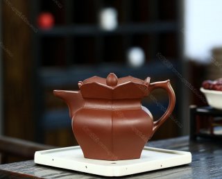 大僧帽  大僧帽