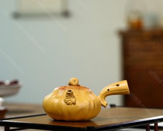 南瓜唐羽  南瓜唐羽