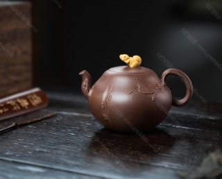松鼠葡萄  松鼠葡萄