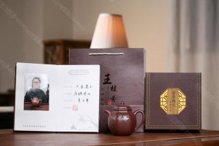 庭松  庭松