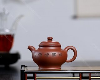 掇只  掇只