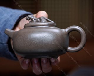 招財豹  招財豹
